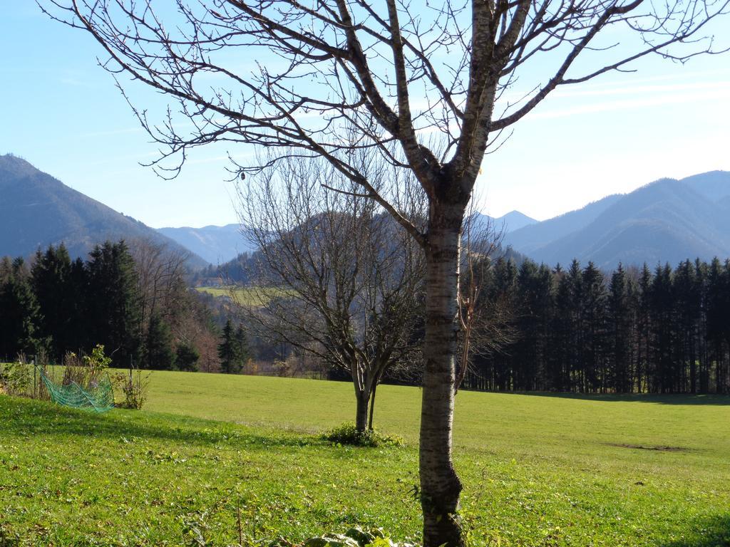 Vordergschwandtgut Apartamento Faistenau Exterior foto